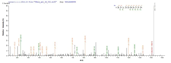Mass Spectrometry - Recombinant Human p53 protein (AB237007)