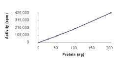 Functional Studies - Recombinant human P70 S6 Kinase beta/SRK protein (AB84798), expandable thumbnail