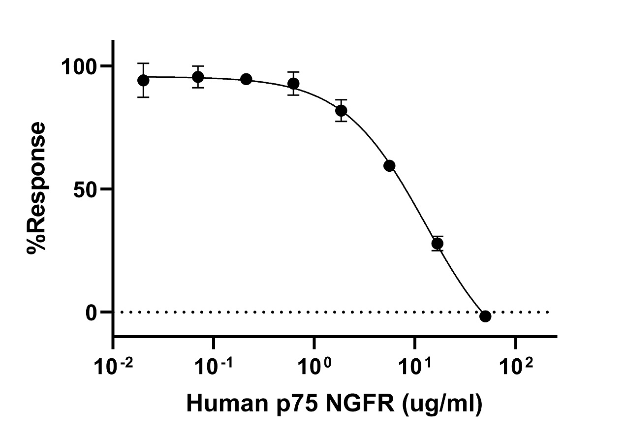 Biological Activity - Recombinant Human p75 NGF Receptor Protein (Fc Chimera) (Active) (AB307634)