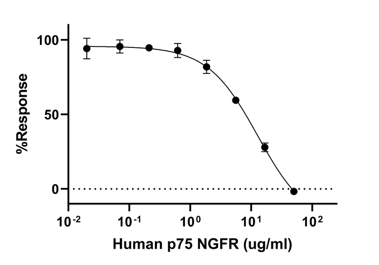 Biological Activity - Recombinant Human p75 NGF Receptor Protein (Fc Chimera) (Active) (AB307634)
