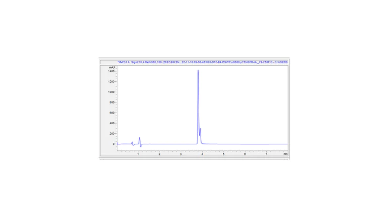 HPLC - Recombinant Human p75 NGF Receptor Protein (Fc Chimera) (Active) (AB307634)