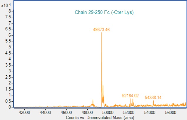 Recombinant Human p75 NGF Receptor Protein (Fc Chimera) (Active)