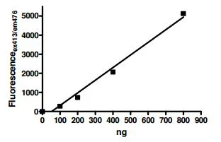Functional Studies - Recombinant human PADI3 / PAD3 protein (DDDDK tag C-Terminus) (AB196421)