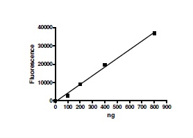 Recombinant human PADI4 / PAD4 protein