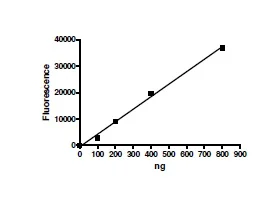 Functional Studies - Recombinant human PADI4 / PAD4 protein (DDDDK tag C-Terminus) (AB196393)