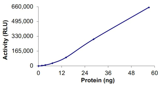 Functional Studies - Recombinant human PAK1 + CDC42 protein (Tagged) (AB268838)