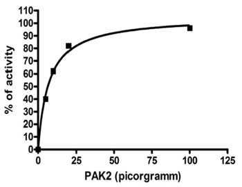 Functional Studies - Recombinant human PAK2 protein (AB95310), expandable thumbnail