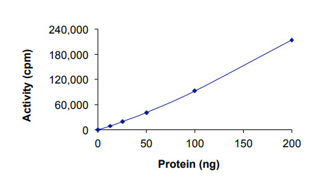 Recombinant human PAK4 protein