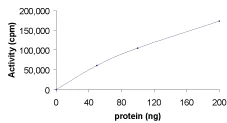 Functional Studies - Recombinant human PAK5 protein (AB60754)