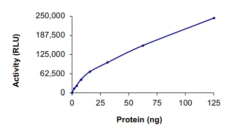 Functional Studies - Recombinant human PAK5 protein (AB60754)