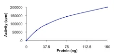 Functional Studies - Recombinant human PAK6 protein (AB89757)