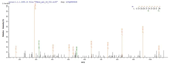 Mass Spectrometry - Recombinant Human Papillomavirus 16 (E7) protein (His tag) (AB237790)