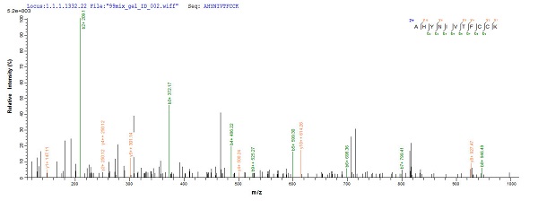 Mass Spectrometry - Recombinant Human Papillomavirus 16 (E7) protein (His tag) (AB237790), expandable thumbnail