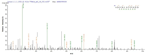 Mass Spectrometry - Recombinant Human Papillomavirus 16 (E7) protein (His tag) (AB237790)