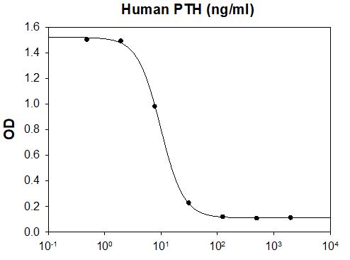 Recombinant human Parathyroid Hormone protein (Active)