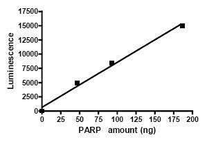 Functional Studies - Recombinant human PARP1 protein (GST tag N-Terminus) (AB79663)