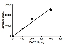 Functional Studies - Recombinant human PARP14 protein (AB198628), expandable thumbnail