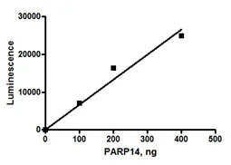 Functional Studies - Recombinant human PARP14 protein (His tag N-Terminus + GST tag N-Terminus) (AB198628)