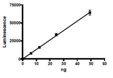Functional Studies - Recombinant human PARP15 protein (GST tag N-Terminus) (AB198468)