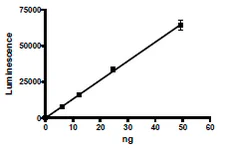 Functional Studies - Recombinant human PARP15 protein (GST tag N-Terminus) (AB198468)