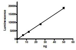 Functional Studies - Recombinant human PARP2 protein (AB198766)