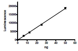Functional Studies - Recombinant human PARP2 protein (GST tag N-Terminus) (AB198766)