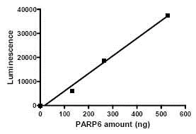 Functional Studies - Recombinant human PARP6 protein (AB79640)
