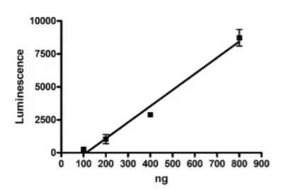 Functional Studies - Recombinant human PARP7 protein (DDDDK tag N-Terminus) (AB271651)