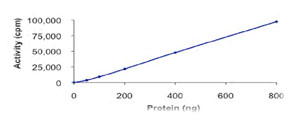 Functional Studies - Recombinant human PBK/SPK protein (AB85275), expandable thumbnail