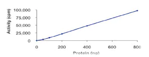 Functional Studies - Recombinant human PBK/SPK protein (AB85275)