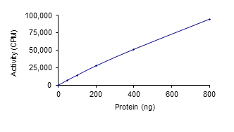 Functional Studies - Recombinant human PBK/SPK protein (AB85275), expandable thumbnail