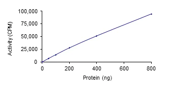 Functional Studies - Recombinant human PBK/SPK protein (AB85275)