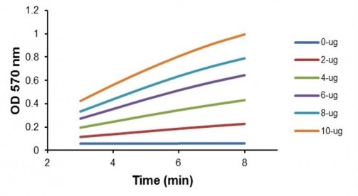 Functional Studies - Recombinant human PCK1/PEPC protein (Active) (AB229508)