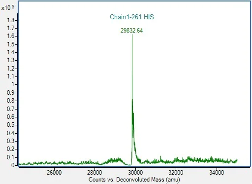 Mass Spectrometry - Recombinant Human PCNA protein (His tag) (AB307191)