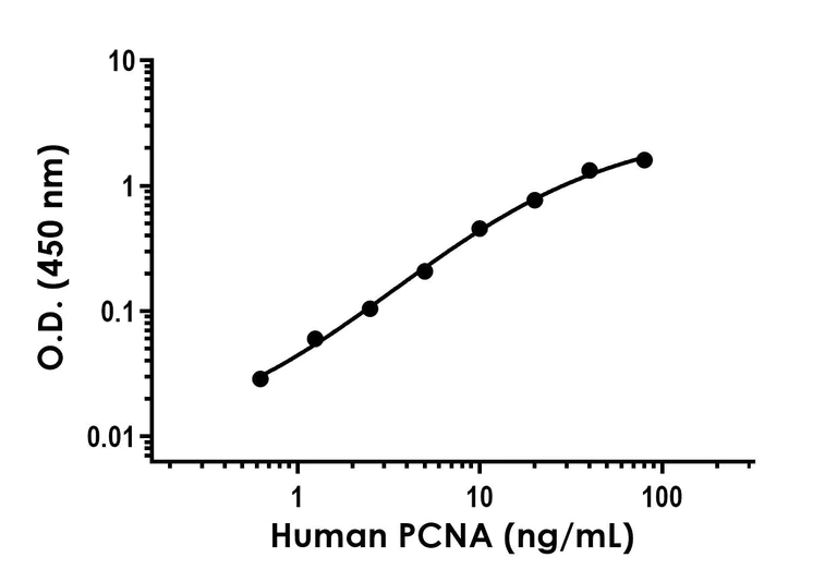 Sandwich ELISA - Recombinant Human PCNA Protein Standard (His tag) (AB316635)