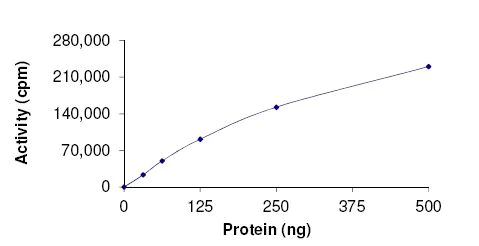 Functional Studies - Recombinant human PCTAIRE1 protein (Active) (AB177586)