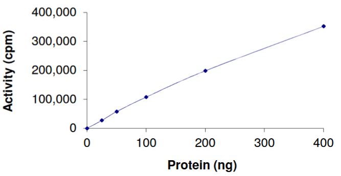 Functional Studies - Recombinant human PCTAIRE3 + Cyclin Y protein (Active) (AB268840)