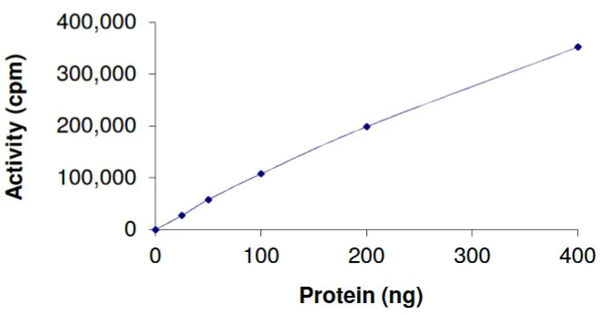 Functional Studies - Recombinant human PCTAIRE3 + Cyclin Y protein (Active) (AB268840)