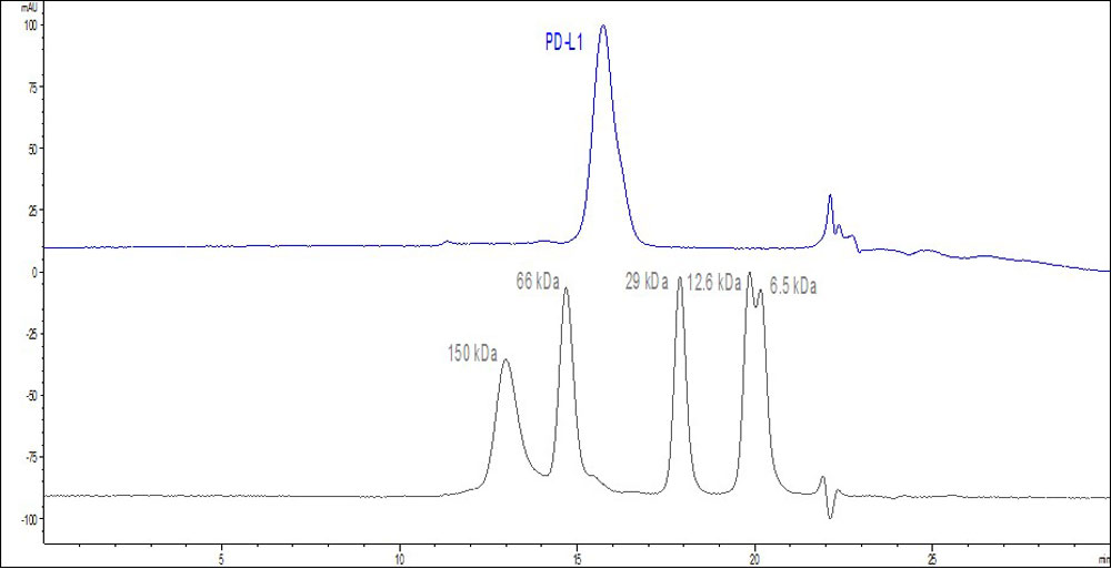 Functional Studies - Recombinant human PD-L1 protein (Active) (AB167713), expandable thumbnail