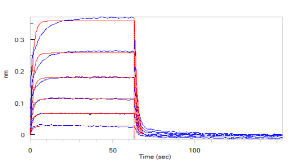 Functional Studies - Recombinant human PD-L1 protein (Active) (AB167713), expandable thumbnail