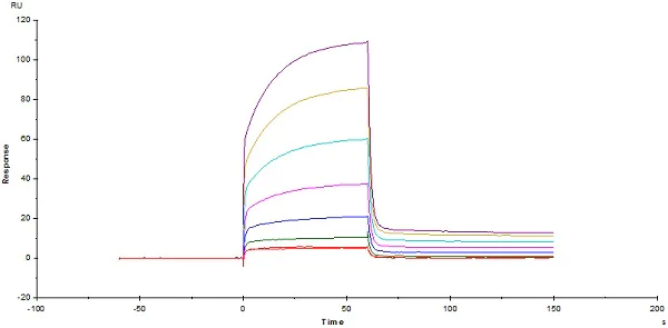 Functional Studies - Recombinant human PD-L1 protein (Active) (AB167713)