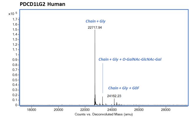 Mass Spectrometry - Recombinant Human PD-L2 protein (Active) (AB283481)