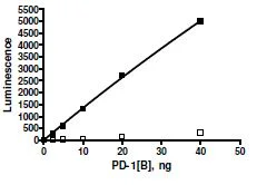 Functional Studies - Recombinant human PD1 protein (Biotin) (DDDDK tag C-Term + Avi tag C-Term + His tag C-Term) (AB271670)