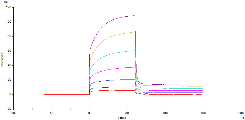 Recombinant human PD1 protein (Fc Chimera Active)