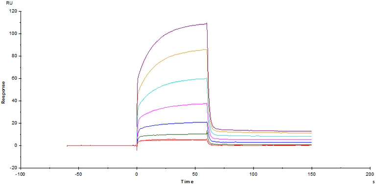 Functional Studies - Recombinant human PD1 protein (Fc Chimera Active) (AB221398)