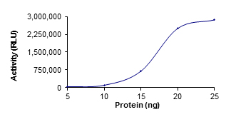 Recombinant human PDE10A protein