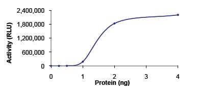 Functional Studies - Recombinant human PDE1A protein (His tag N-Terminus) (AB125661)