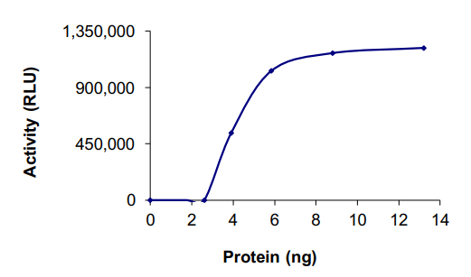 Recombinant human PDE1B protein