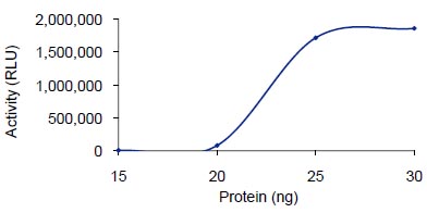 Functional Studies - Recombinant human PDE1B protein (GST tag N-Terminus) (AB125652)