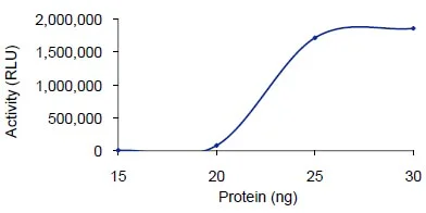 Functional Studies - Recombinant human PDE1B protein (GST tag N-Terminus) (AB125652)